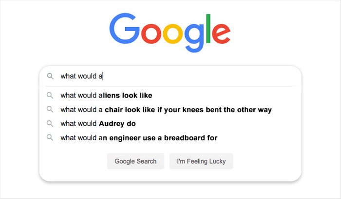 google search auto fill suggestions