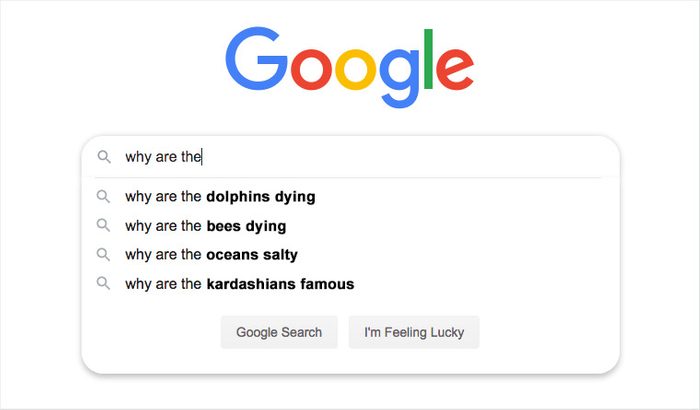 google search auto fill suggestions