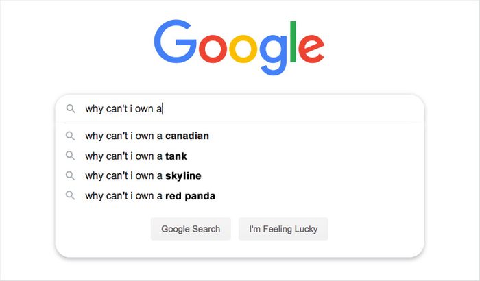 google search auto fill suggestions