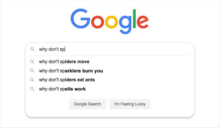 google seach auto fill suggestions