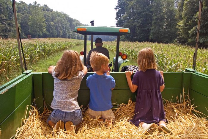 kids enjoying hayride