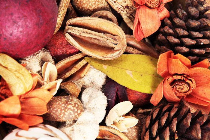 fall potpurri