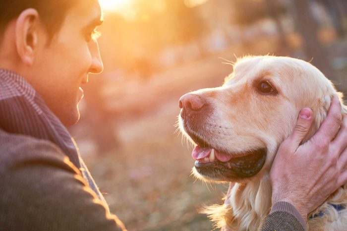 these_4_sure_signs_dog_trusts_You_eyes