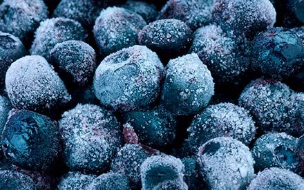 03_fruit_foods_to_never_put_in_blender_