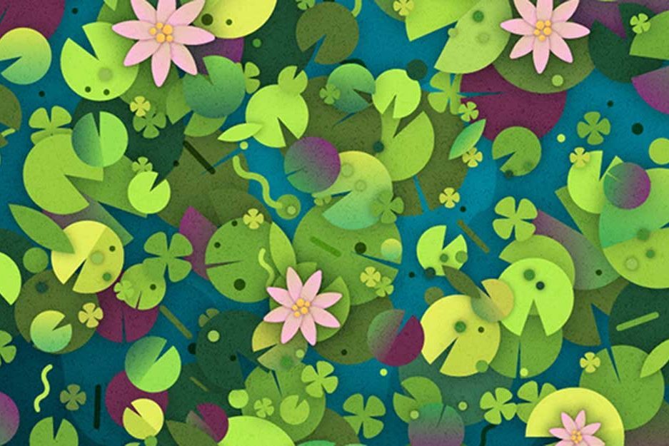 Can You Spot the Hidden Turtle in This Picture? Over 60% of People Can’t
