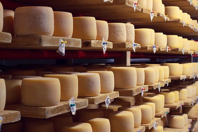 Cheese