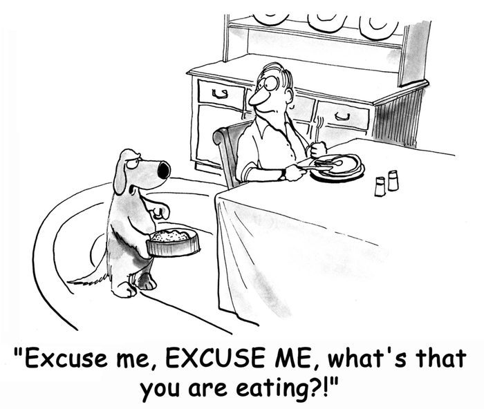 "Excuse me, EXCUSE ME, what's that you are eating?"
