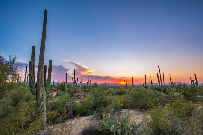 Tucson, Arizona
