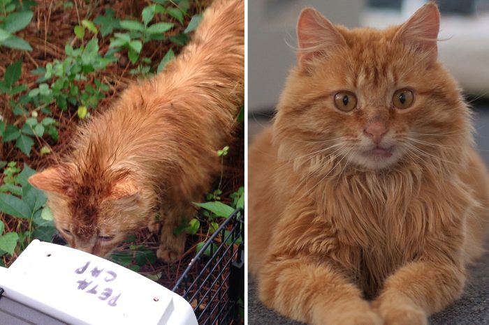 Georgie Before and After