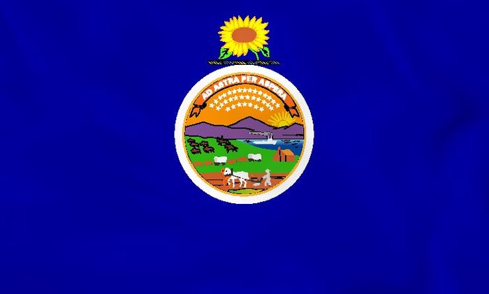 kansas state flag