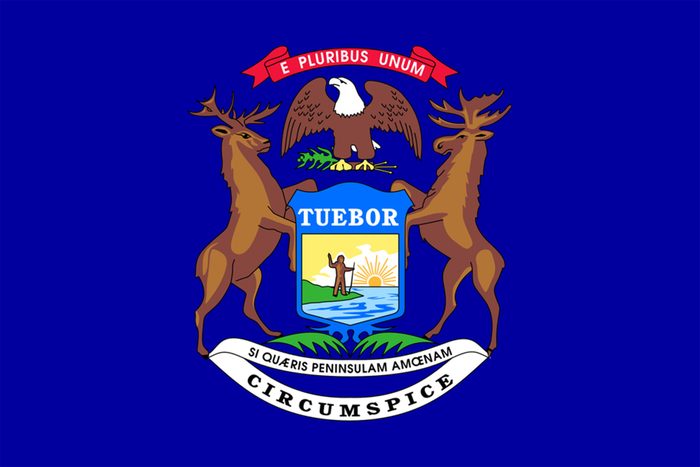 Michigan state flag