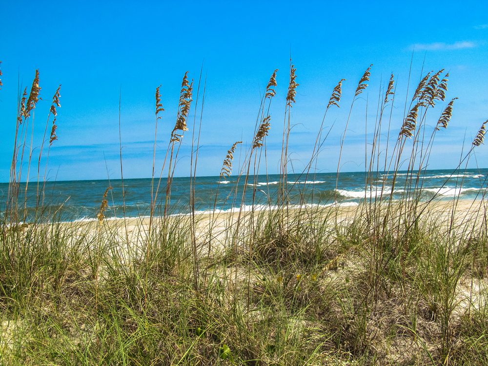 Looking over the sand dunes at Pawley's Island just south of Myrtle Beach, SC.