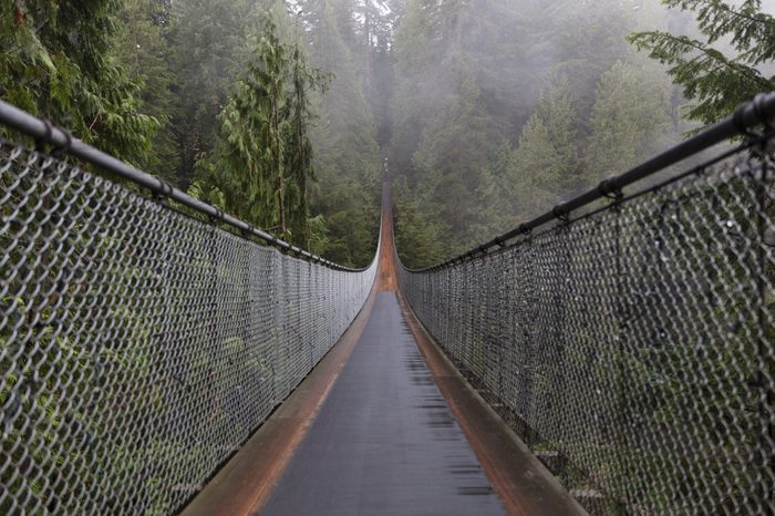 Capilano Suspension Bridge. Vancouver British Columbia Canada. Nature. Evergreen.