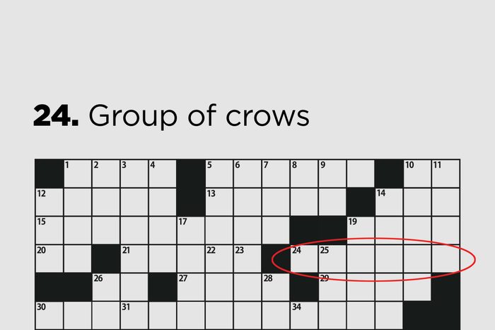 group of crows