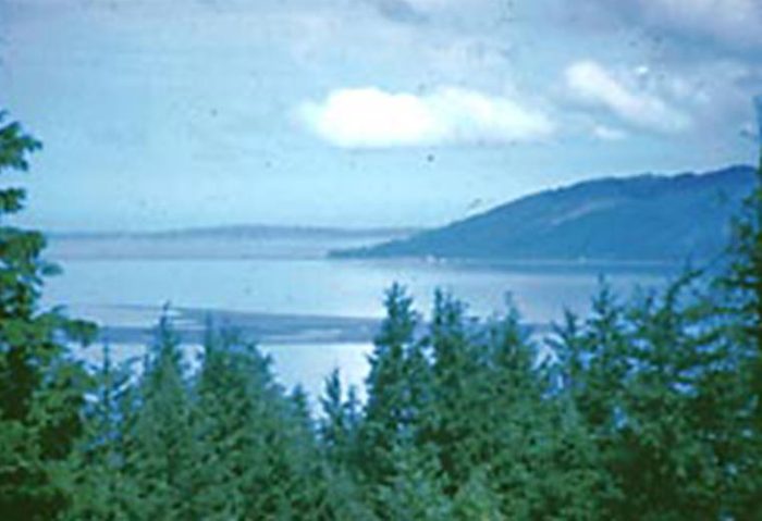 Chinook Point