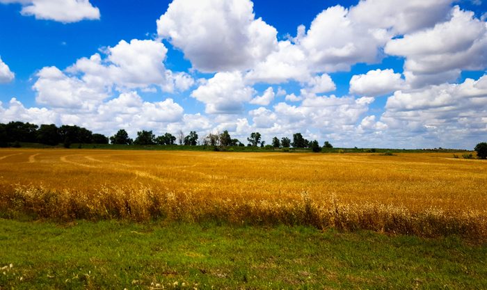 Summertime Roadtrip, Side Road off of Route 66, Oklahoma
