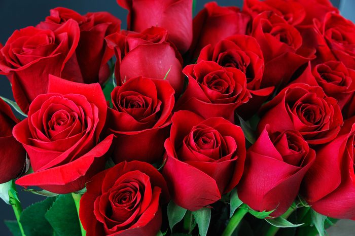 close up on red roses