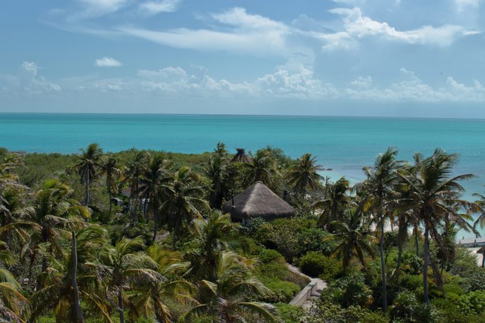view of the island from the observation tower
