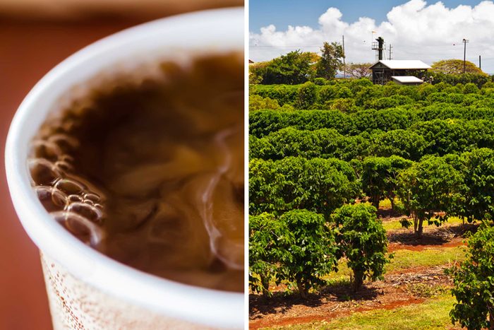 state coffee hawaii
