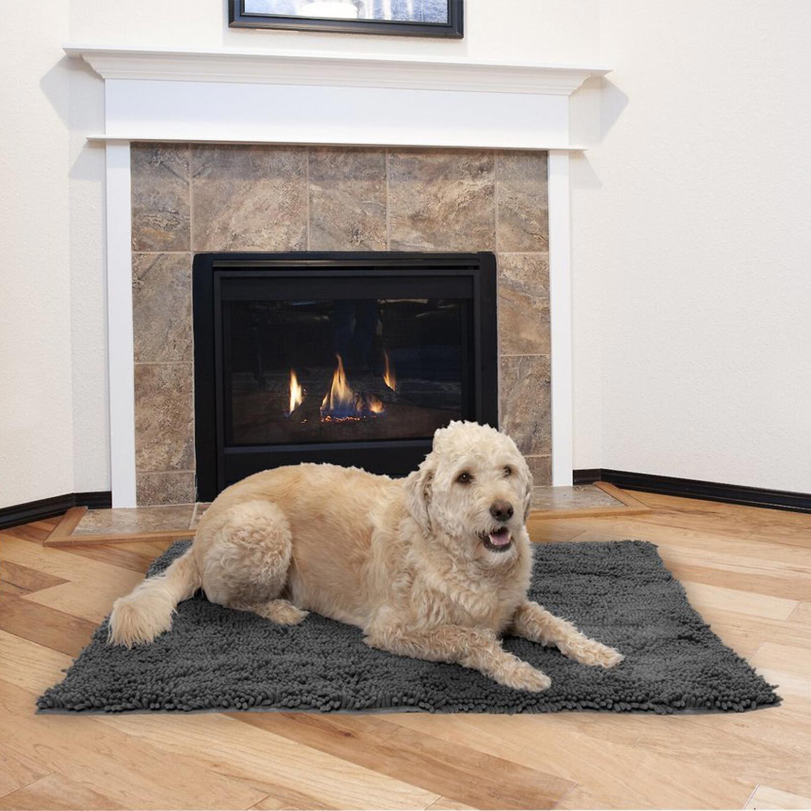 Dog blanket