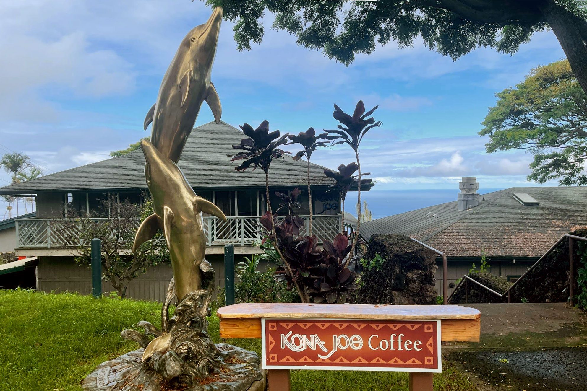 Rd Hawaii Kona Joe Via Facebook.com