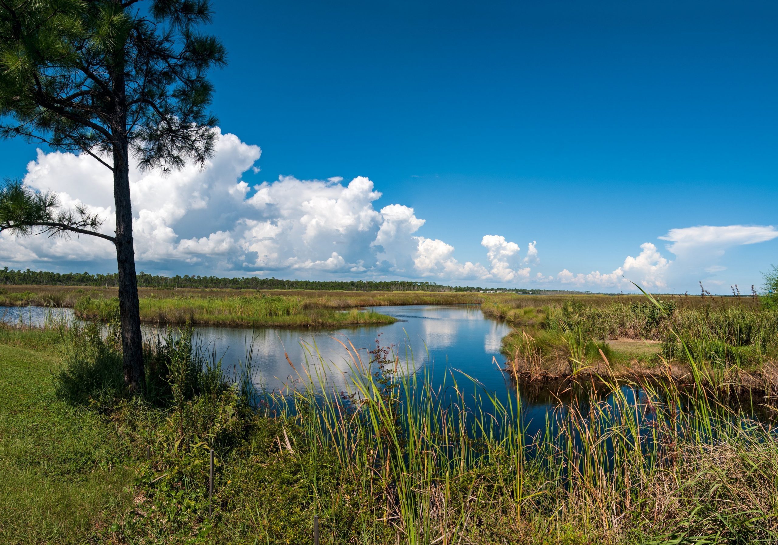 Gulf Shores State Park