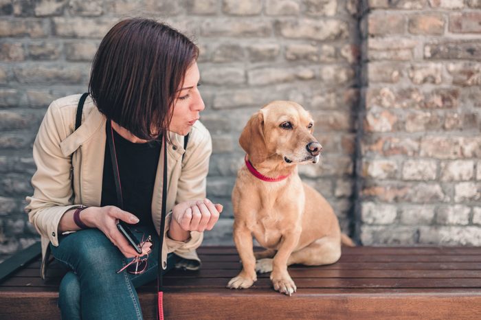 talking to dog