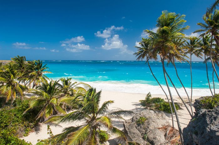 Bottom Bay is one of the most beautiful beaches on the Caribbean island of Barbados. It is a tropical paradise with palms hanging over turquoise sea