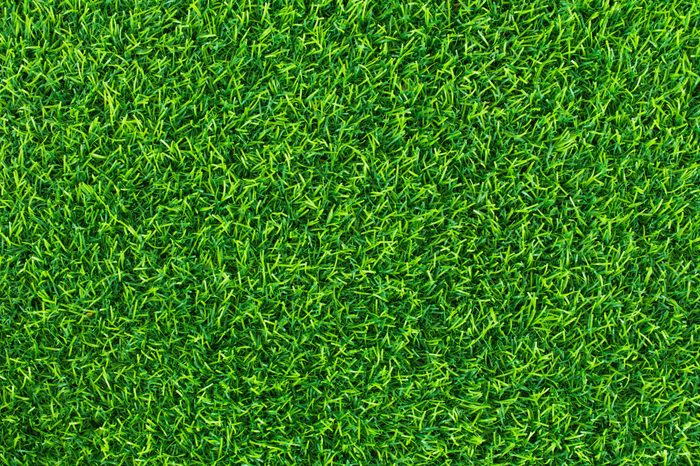 Green grass background texture .top view.