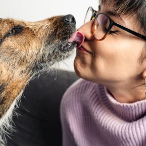 Dog licking a person's nose; the person wears glasses and earrings, smiling with eyes closed, on a couch in a cozy room.