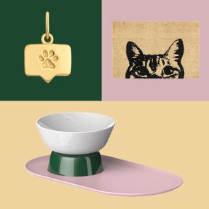 Gold pet tag with paw print, mat featuring cat's eyes, and elevated food bowl on pastel backgrounds.
