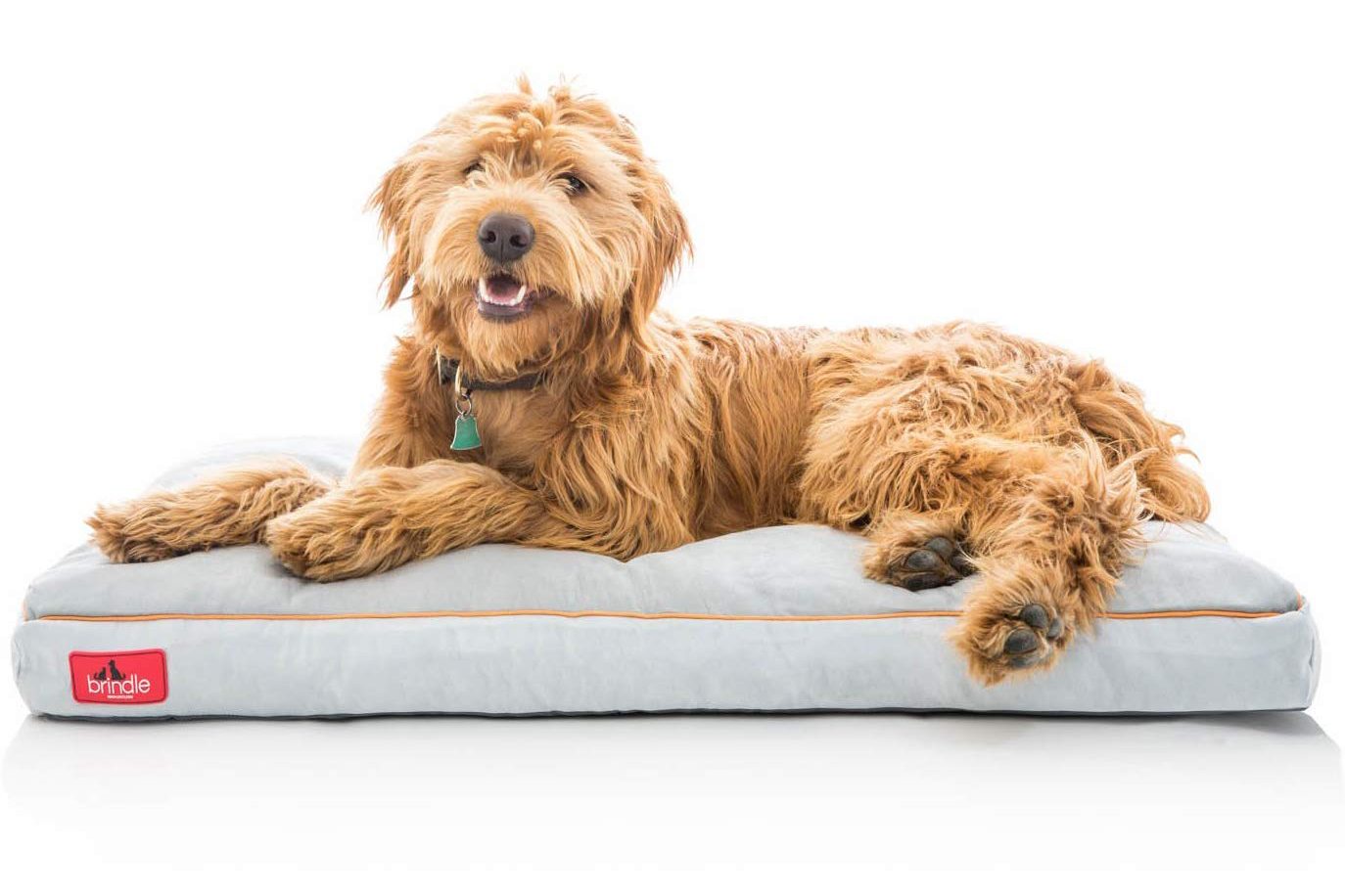 dog bed