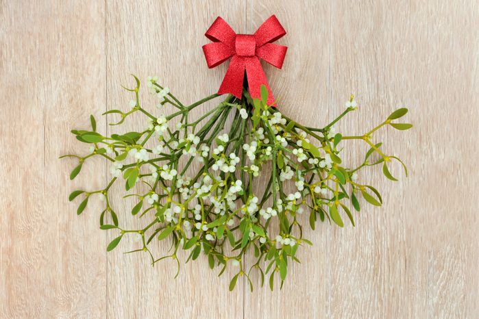 mistletoe