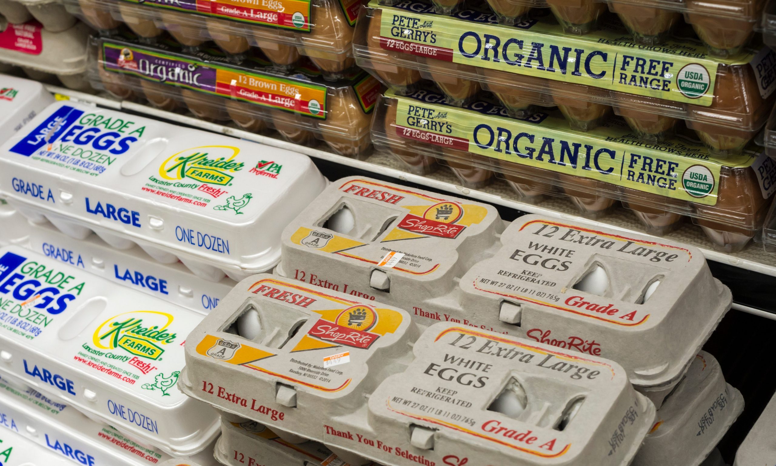 Cage-Free vs. Free-Range: What’s the Difference?