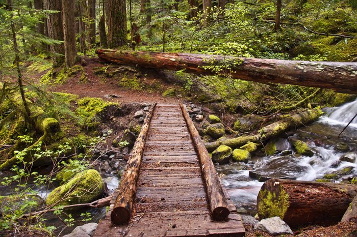 Closeup of wooden foot bridge on hiking trail in mountain over flowing river with mossy rocks./Closeup of Wooden Foot Bridge on hiking trail in mountain