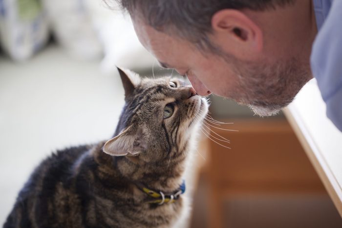 cat and owner