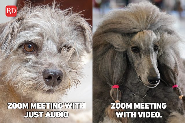 Two images with meme text over images of dogs