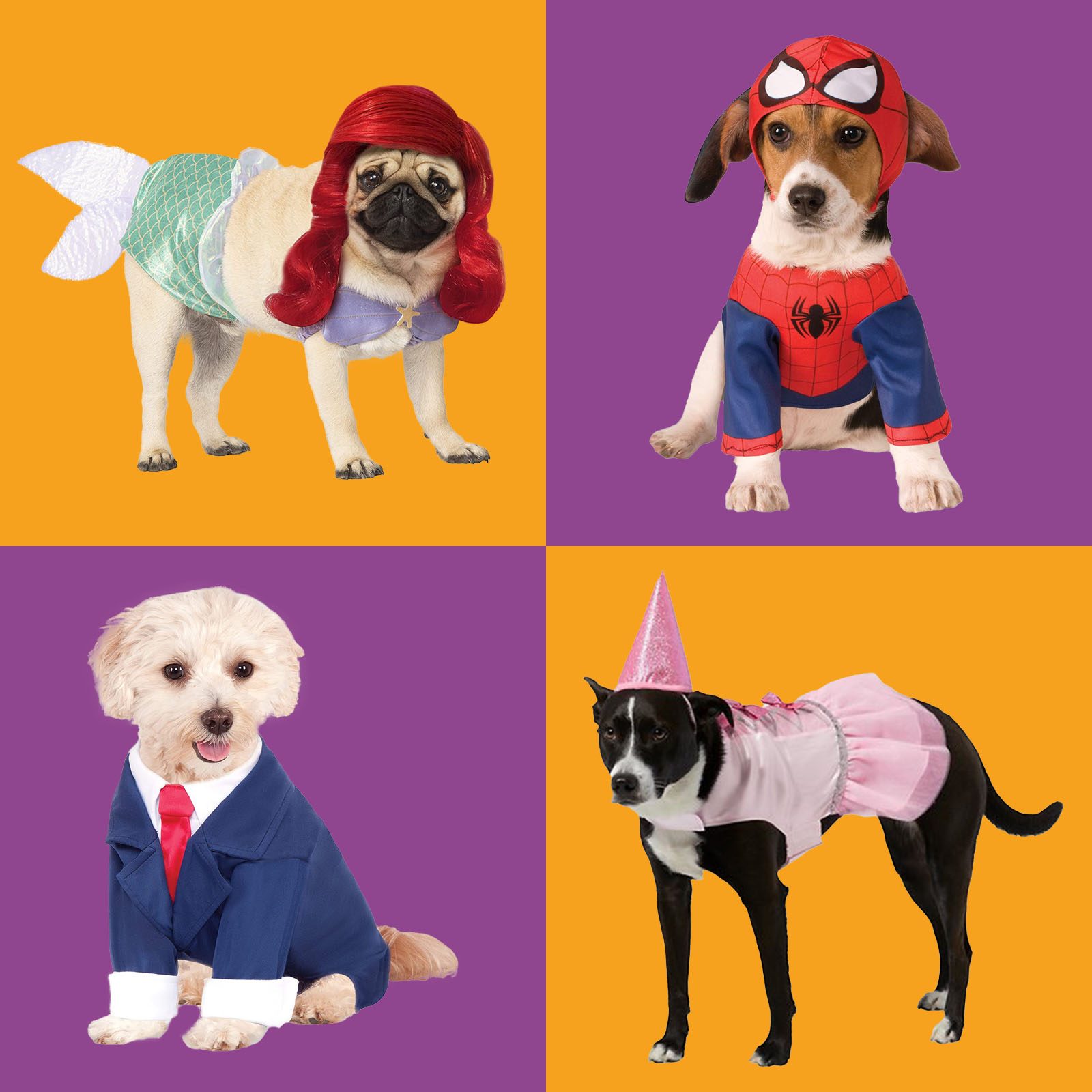 Dogs wear costumes standing against colorful backgrounds: mermaid, superhero, business suit, and princess outfits with contrasting orange and purple panels.