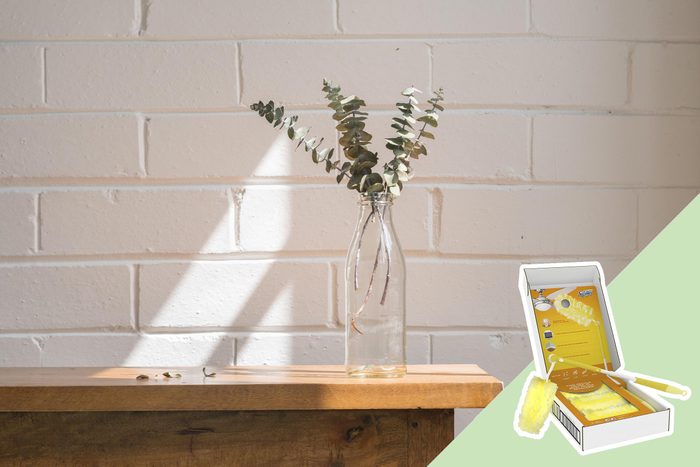 Dusty Decor