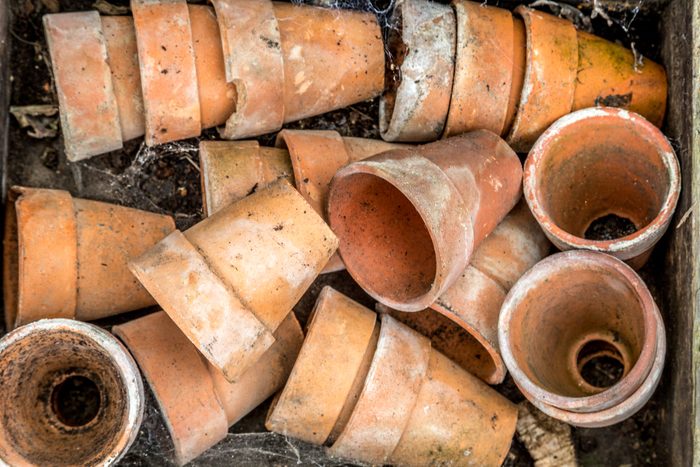 Plant pots