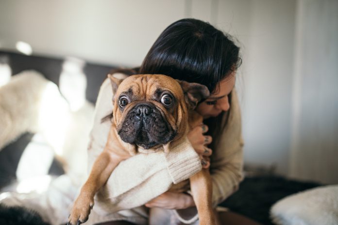 A tattooed woman hugging her cute puppy. Happy moment between pe