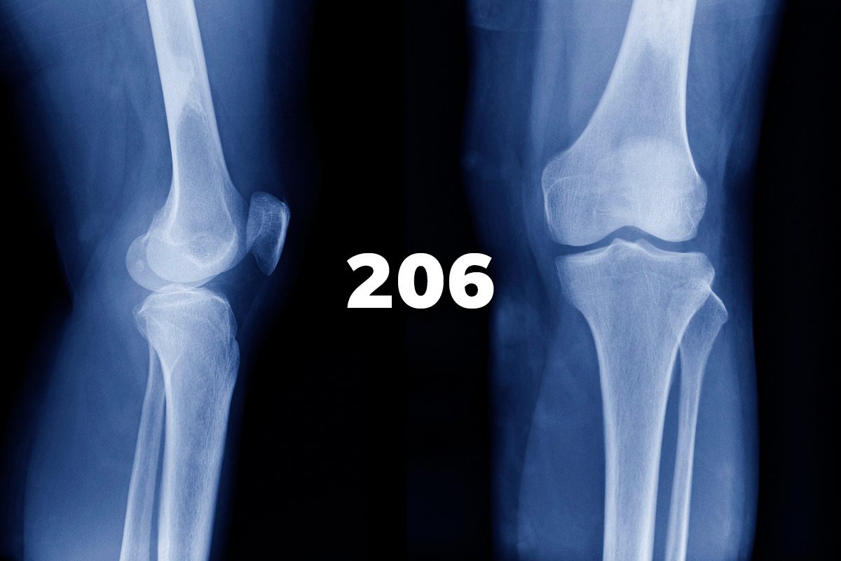 206