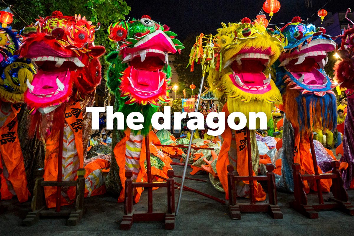 The dragon