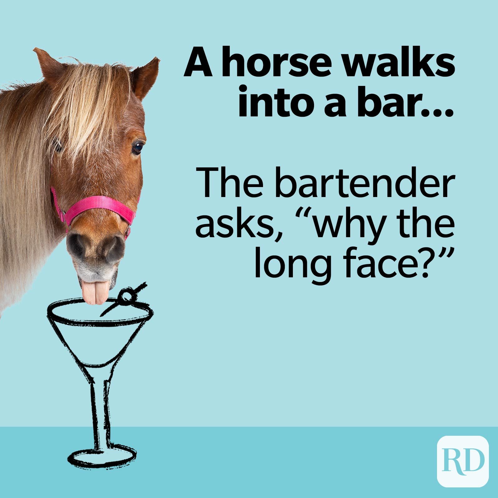 8. Another horse walks into a bar… The bartender asks, “why the long face?”