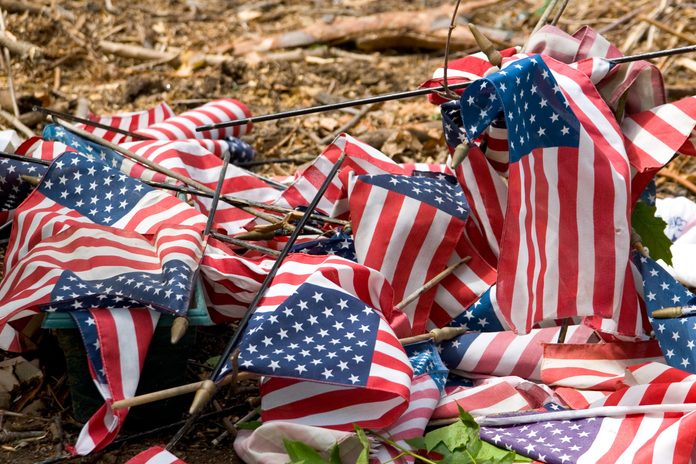 Patriotic Trash