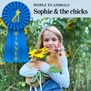 Child holding chicken and sunflower, smiling in a garden. Blue winner ribbon with dog icon reads 