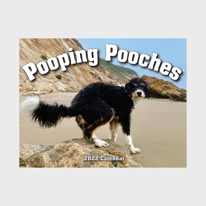 Dog stands defecating on sandy beach with rock formations, text reads 