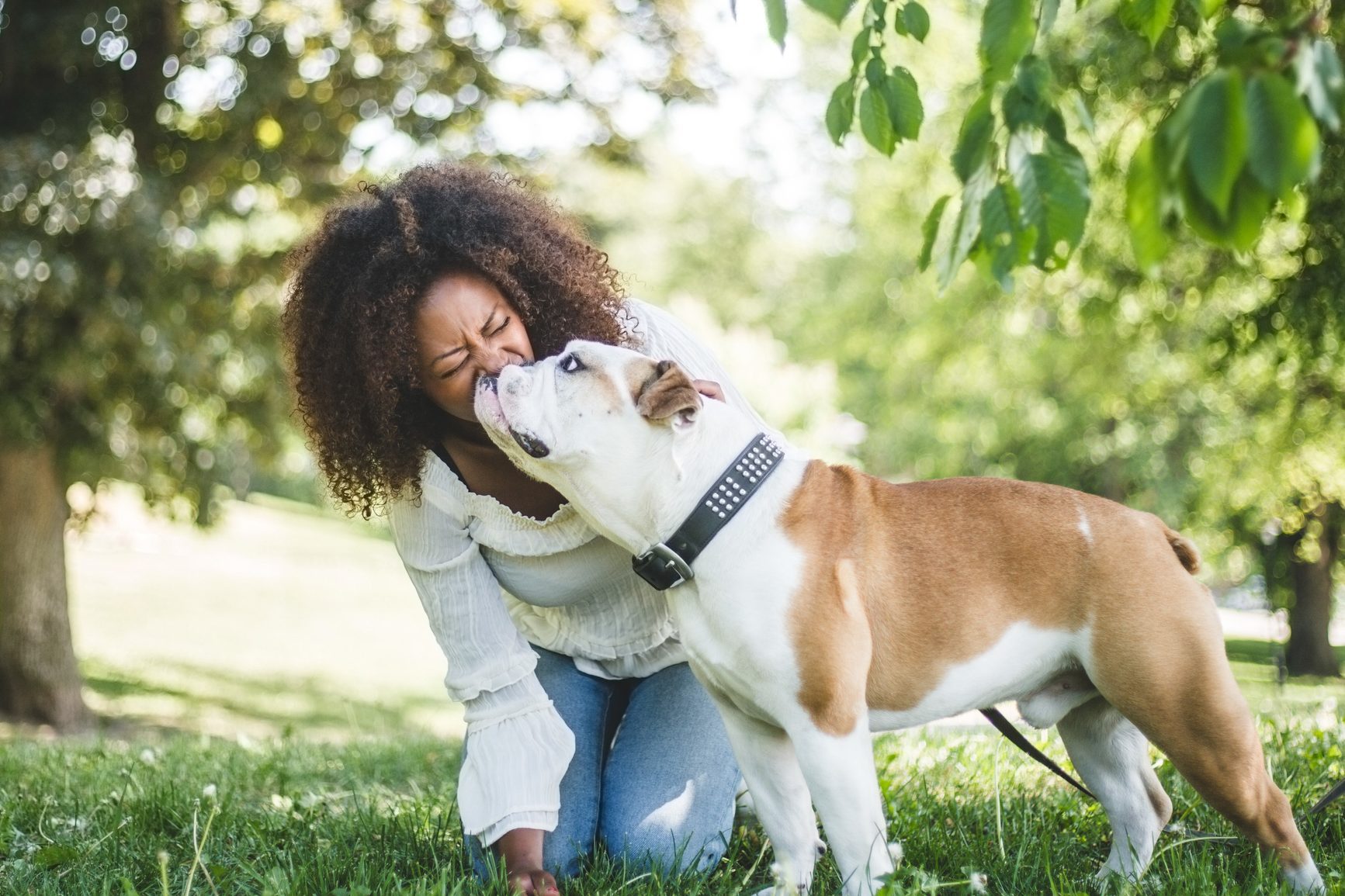 17 Calm Dog Breeds with Easygoing Personalities