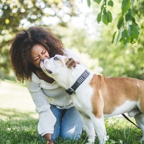 Dog licks person's face, both enjoying a playful moment outdoors in a grassy, tree-filled park setting.