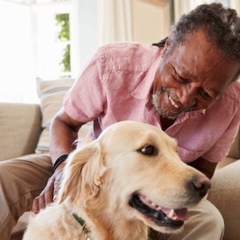 A man petting a golden retriever, smiling happily in a bright, cozy living room setting.